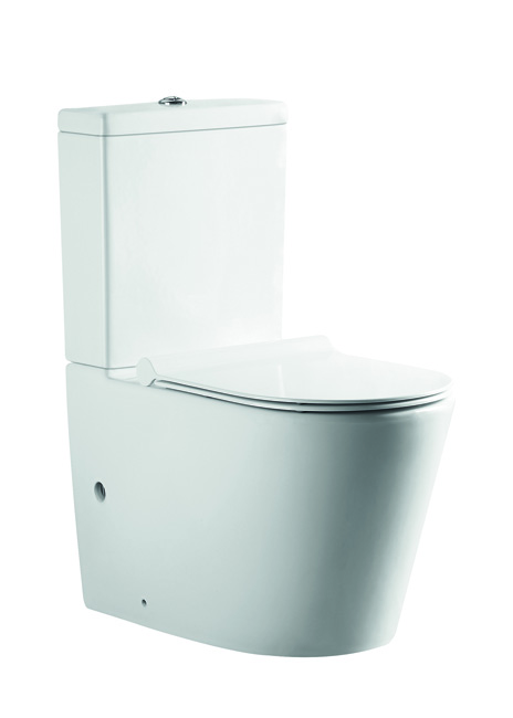 Toilette Gerok blanc avec Geberit rimless