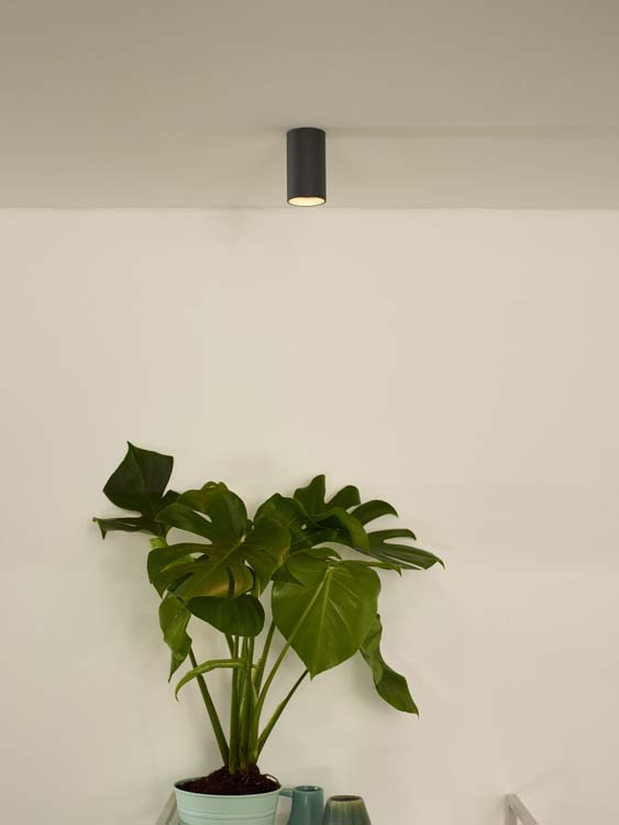 Spot plafond - Ø 5,5 cm - LED Dim to warm - 1x5W 3000K/2200K - GU10 - Gris