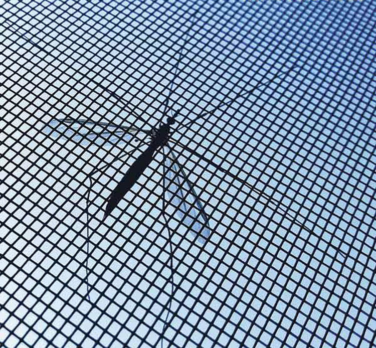 Anti-muggen net voor ramen