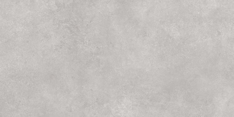 Carrelage Liam gris béton rt 60x120cm