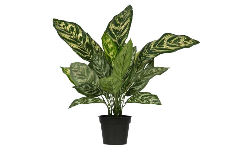 Kunstplant Aglaonema groen 50cm