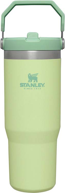 Stanley iceflow tumbler flip straw 0.89l citron