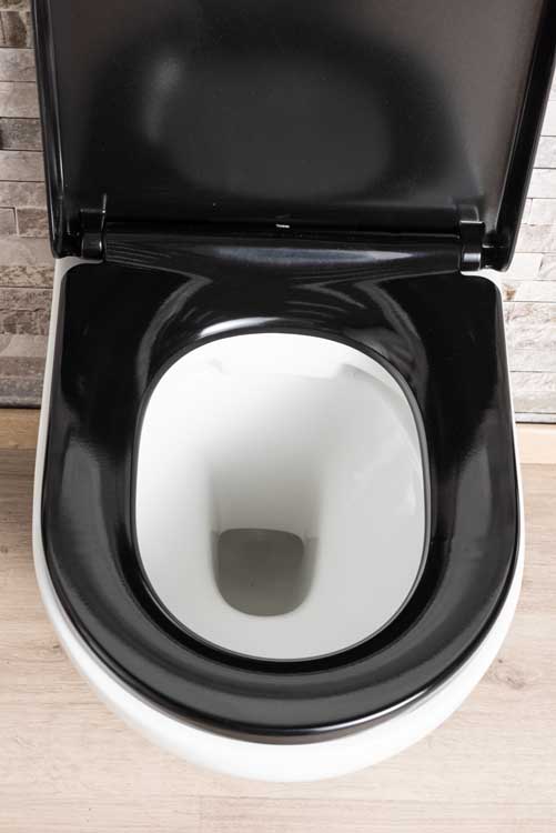 Hangtoilet Gary wit verkort rimless + toiletbril zwart softclose