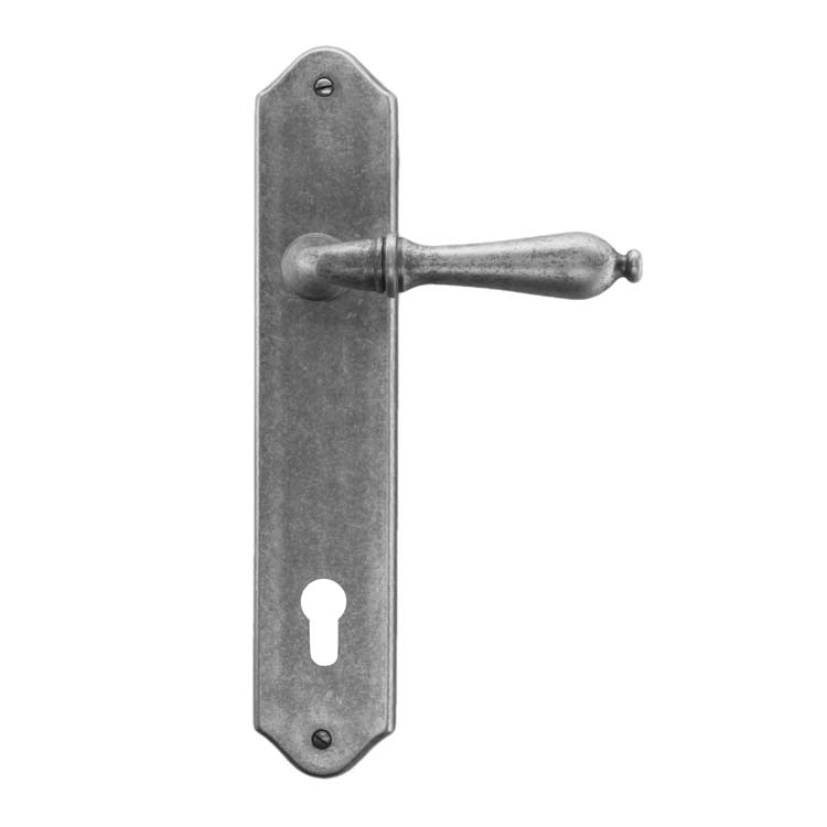 Deurkruk roselle oud zilver deurschild met cilinder