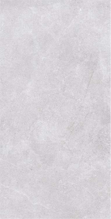 Carrelage Toledo beige/gris rt 60 x 120 cm
