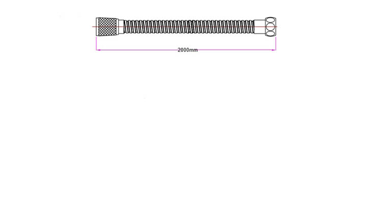 Doucheslang 200cm inox