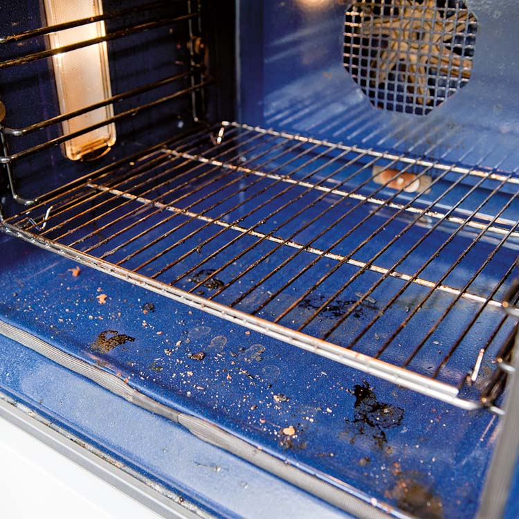 HG oven, grill en barbecue reiniger 0,5l
