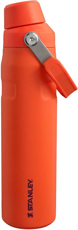 Stanley iceflow water bottle fast flow 0.6l plum