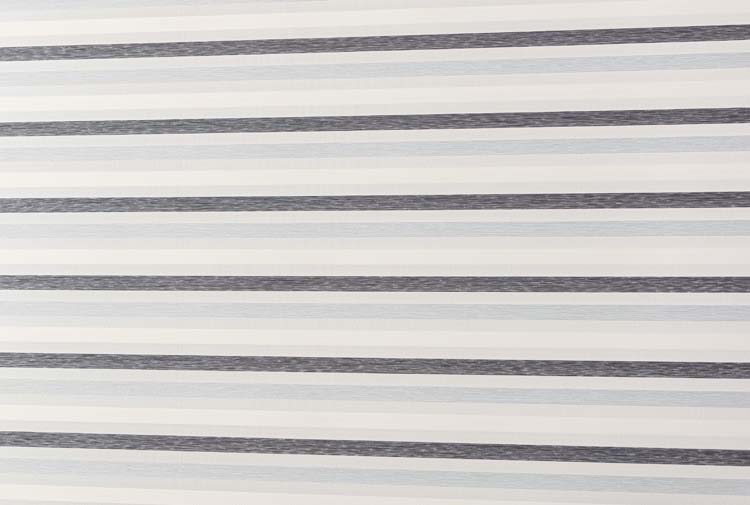 Store enrouleur transparent Cibra gris 120x250cm