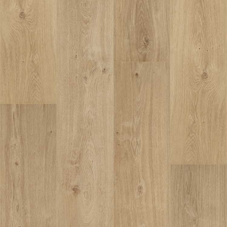 Vinyle Floorify Cider - Planches longues - 1524 x 225 x 4.5 mm