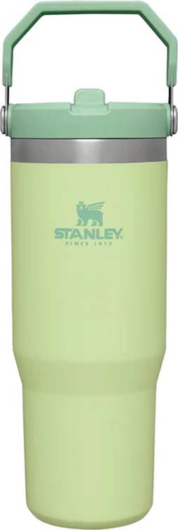 Stanley iceflow tumbler flip straw 0.89l citron
