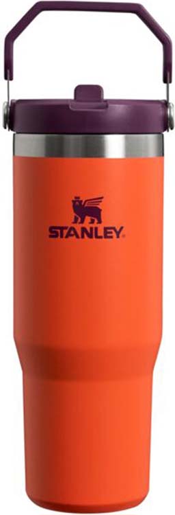 Stanley iceflow tumbler flip straw 0.89l tigerlily
