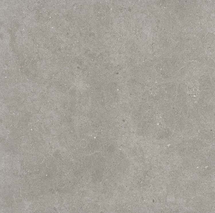 Carrelage Bovolo grey rt 60 x 60 x 0.8 cm