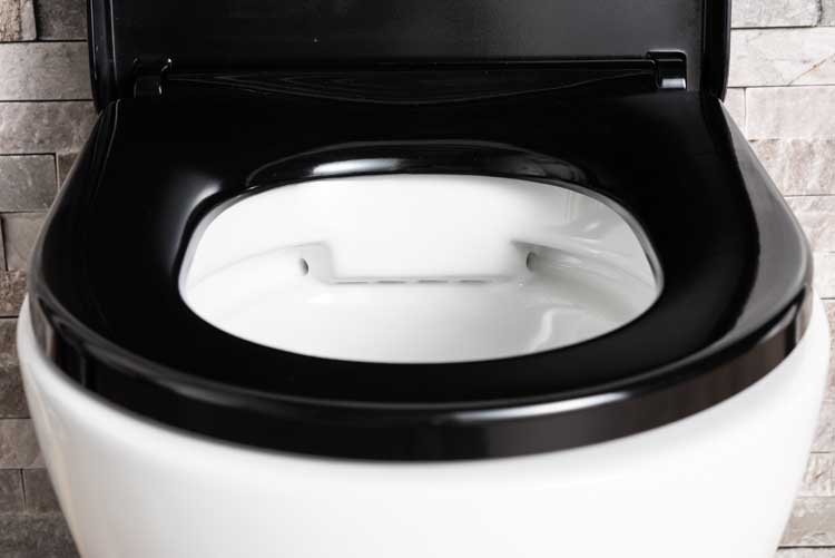 Hangtoilet Gary wit verkort rimless + toiletbril zwart softclose