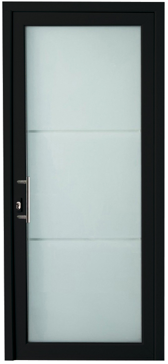 Porte extérieure pvc noire/noire 980 x 2180 mm mat 2 lignes claires G