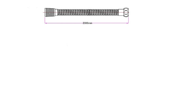 Doucheslang 200cm inox