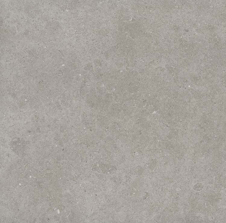 Tegel Bovolo grey rt 60 x 60 x 0.8 cm