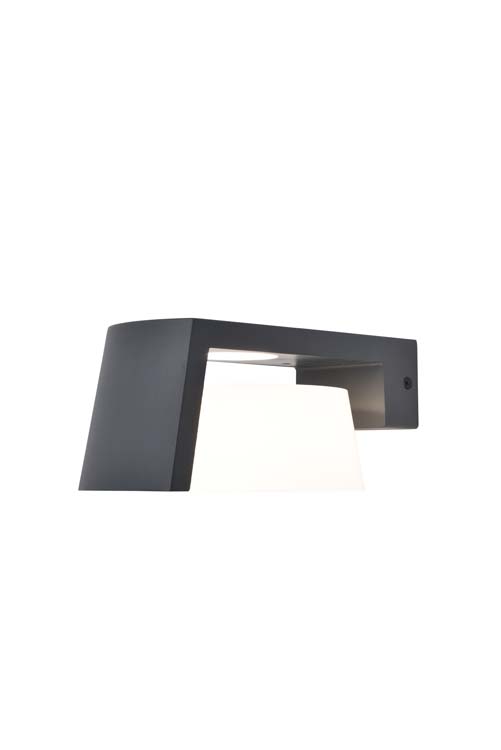 Buitenverlichting wandlamp donker grijs 3000-4000K 1250 lumen 11W