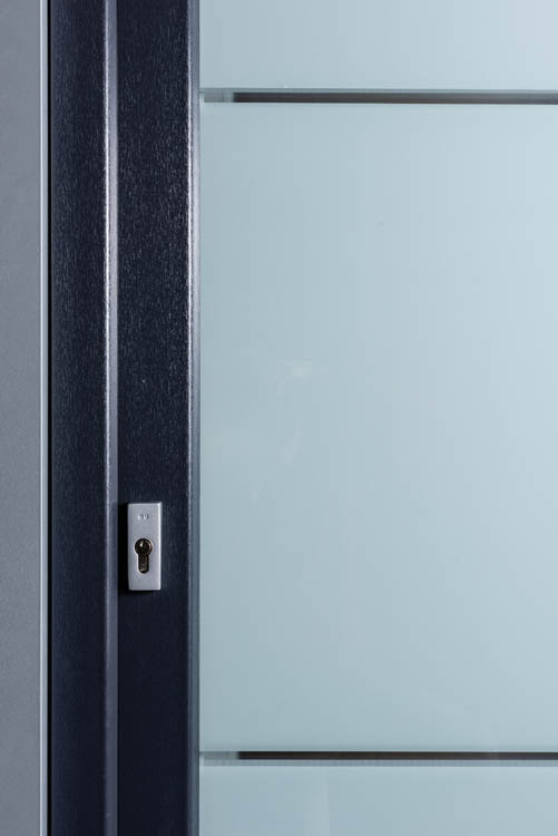 Porte ext verre avec 2 lignes transparante PVC G 980x2180mm